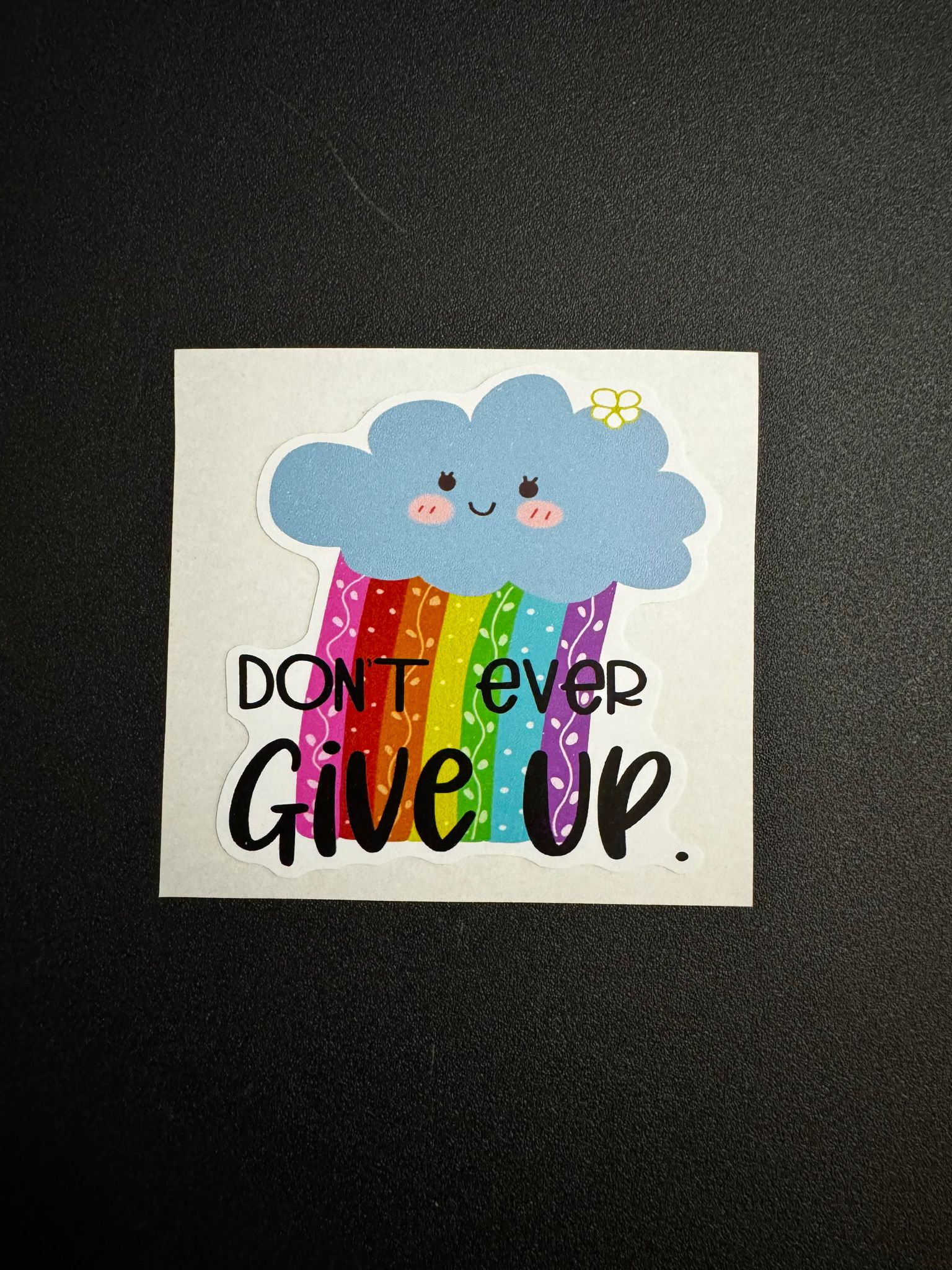 Don't Ever Give Up Decal