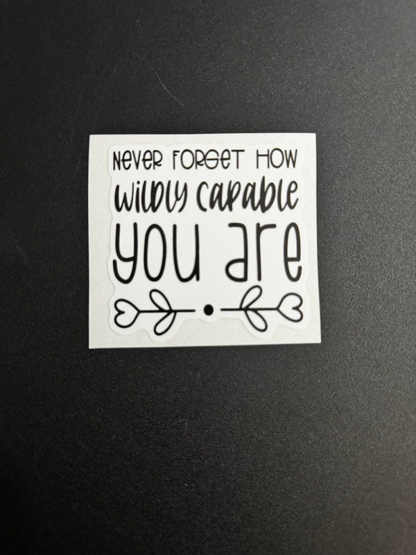 Never Forget How Wildly Capable You Are Decal