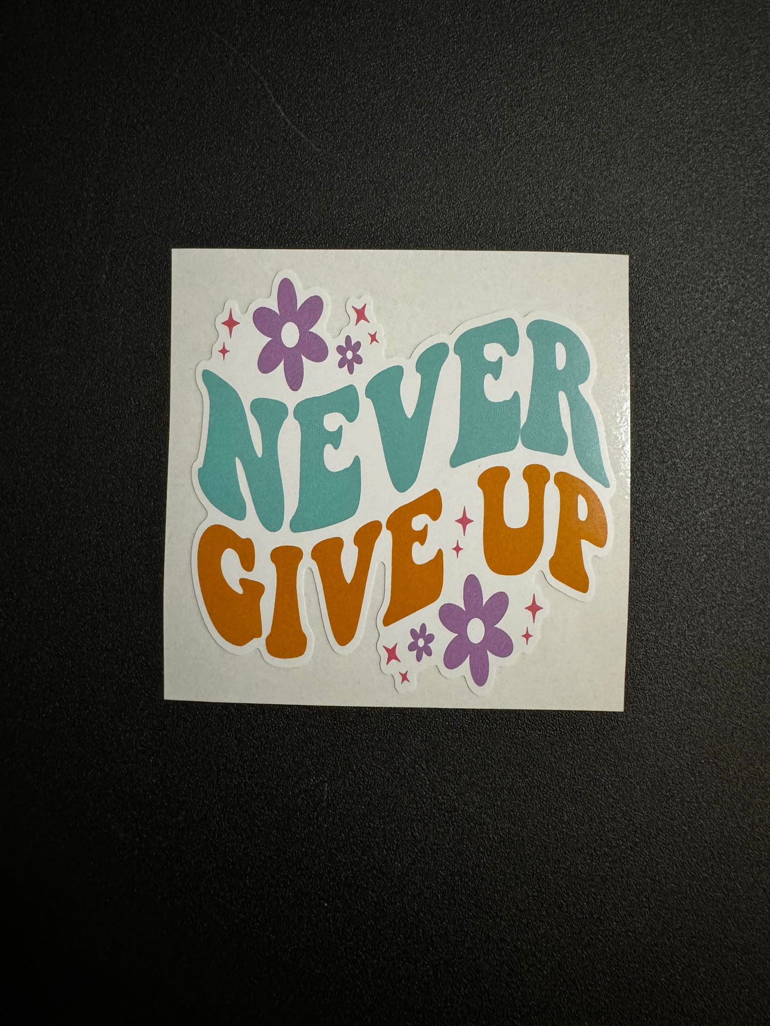 Never Give Up Decal