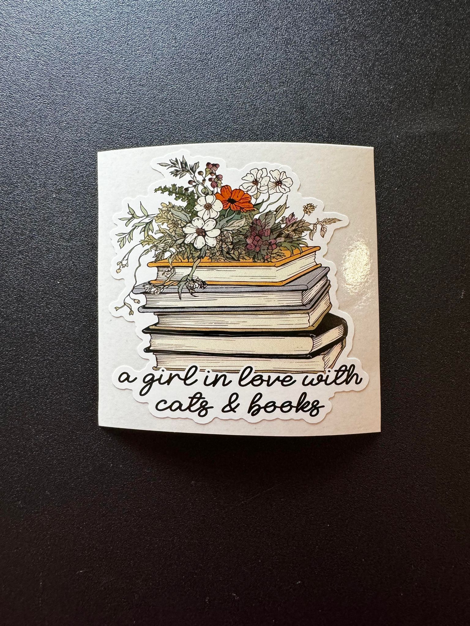 A Girl In Love With Cats & Books Decal