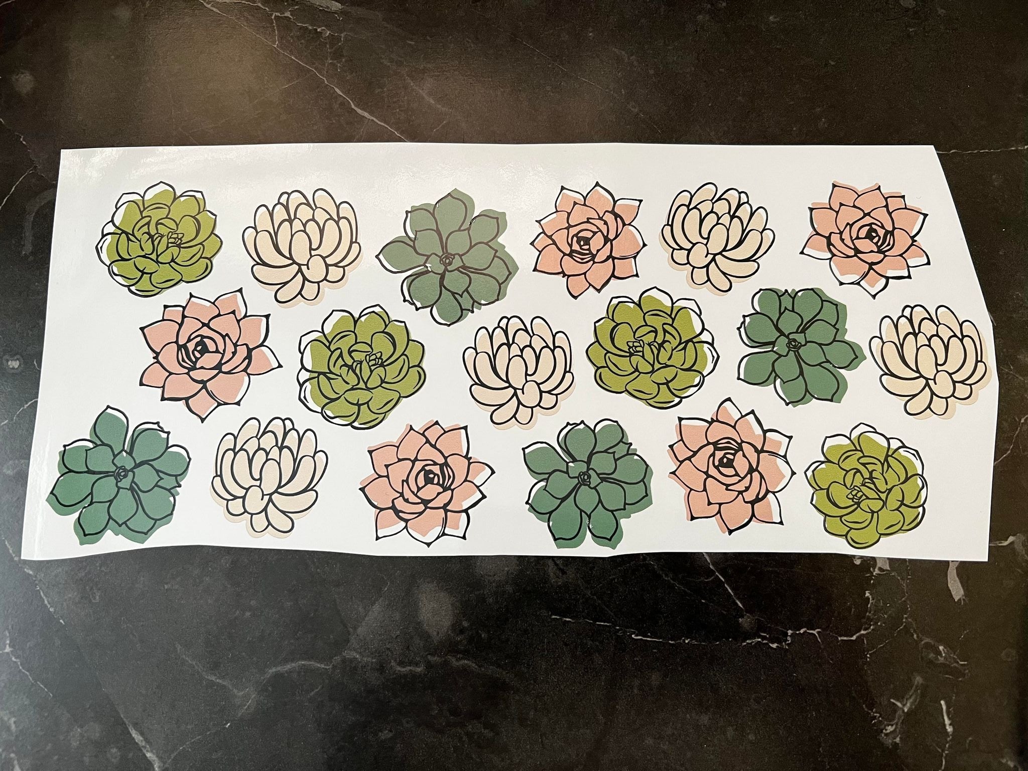 Succulents Theme Libbey Wrap